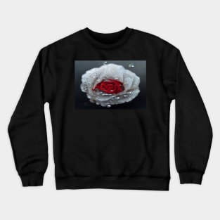 Red And White Rose With Raindrops, Macro Background, Close-up Crewneck Sweatshirt